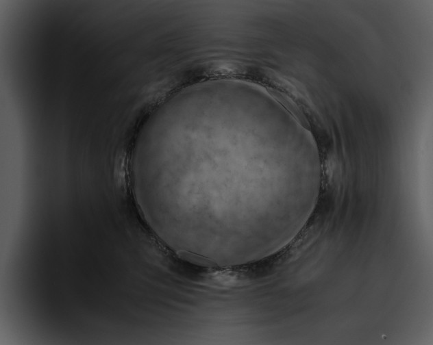 X0000095690423200801291221