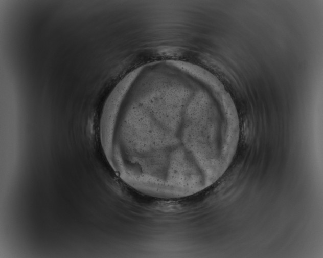 X0000095690424200801291221