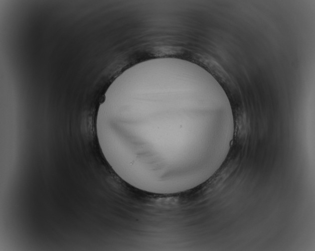 X0000095690426200801291221