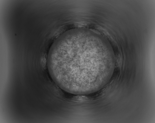 X0000095690427200801291221