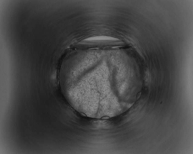 X0000095690428200801291221