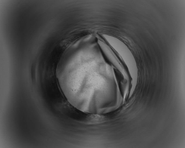 X0000095690429200801291221