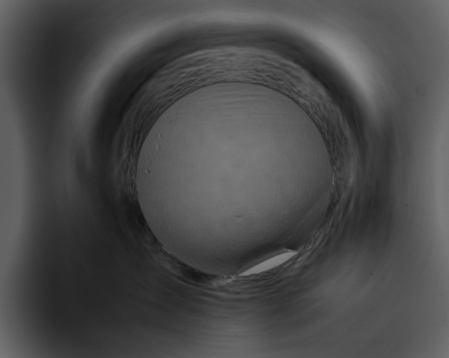 X0000095690431200801291221