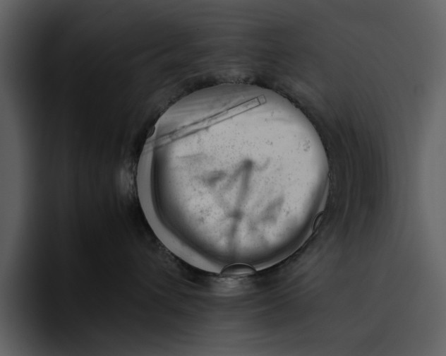 X0000095690432200801291221