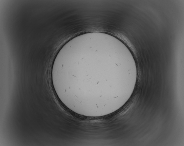 X0000095690433200801291220