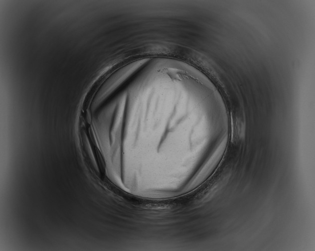 X0000095690435200801291220