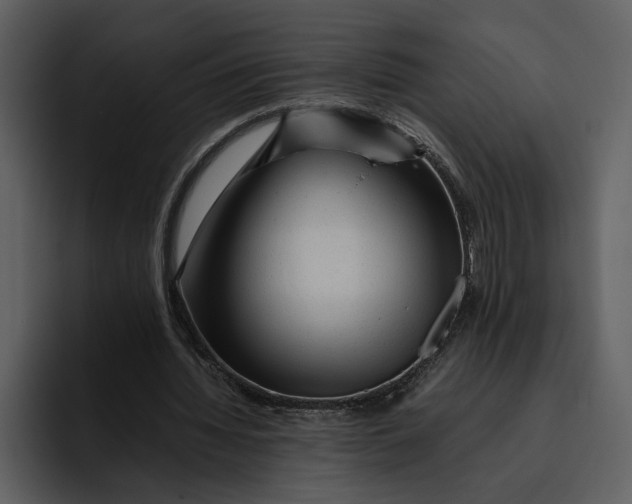 X0000095690436200801291220