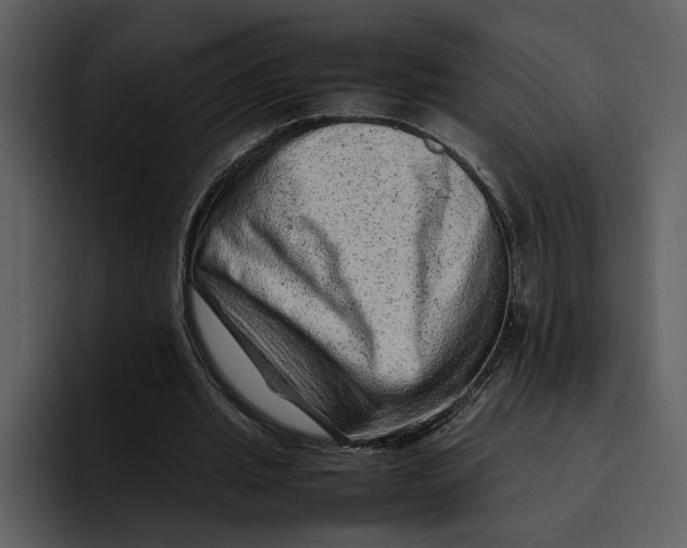 X0000095690437200801291220