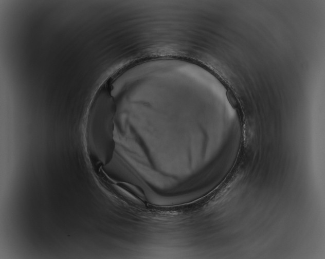 X0000095690438200801291220