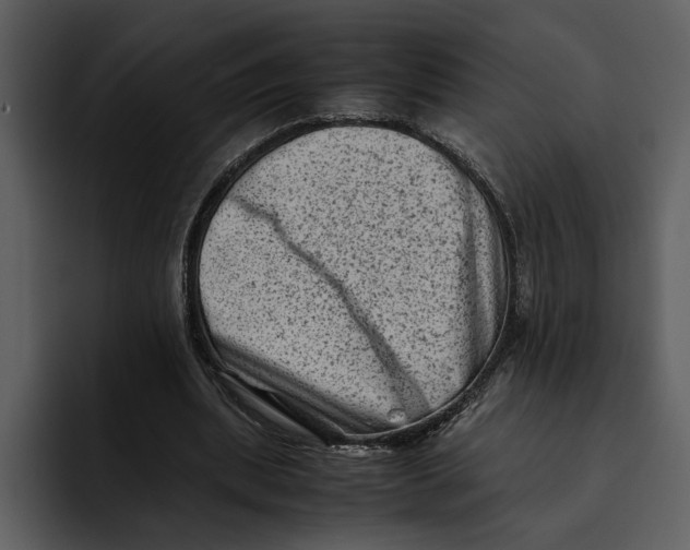 X0000095690439200801291220