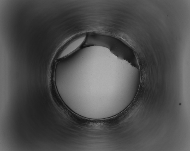 X0000095690440200801291220