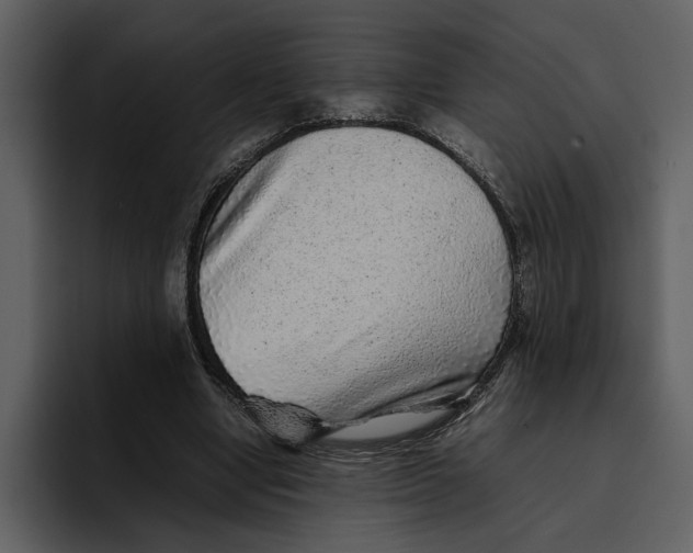 X0000095690442200801291220