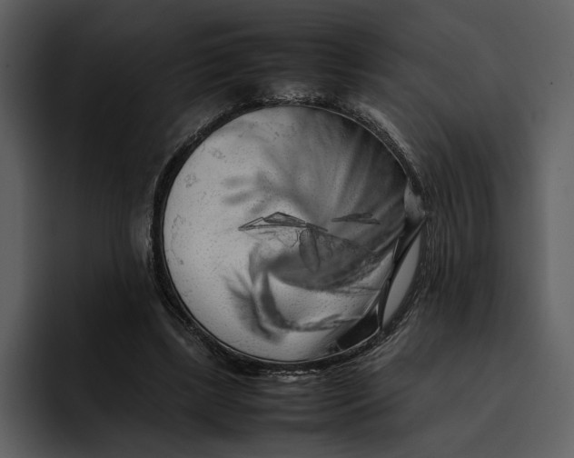 X0000095690443200801291220