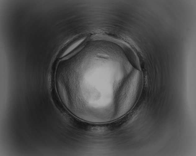 X0000095690444200801291220