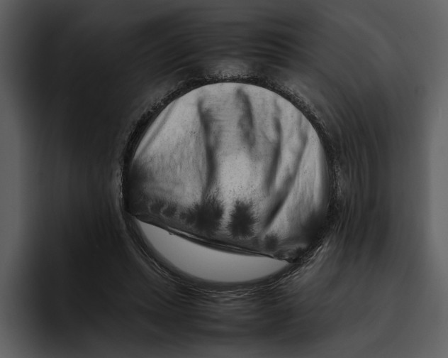 X0000095690447200801291220