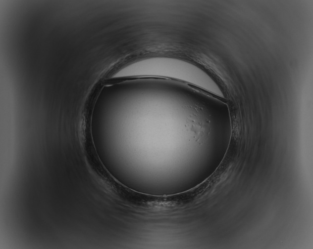 X0000095690448200801291220