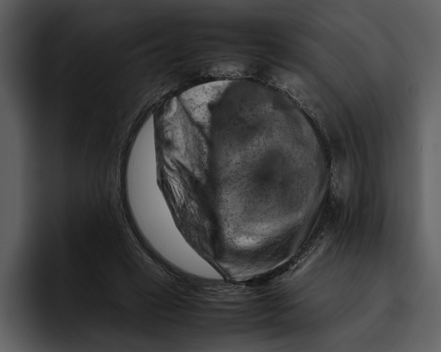 X0000095690449200801291220