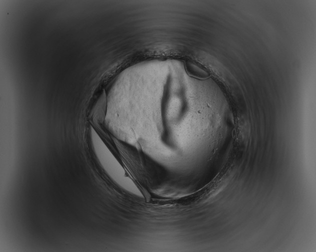 X0000095690450200801291220