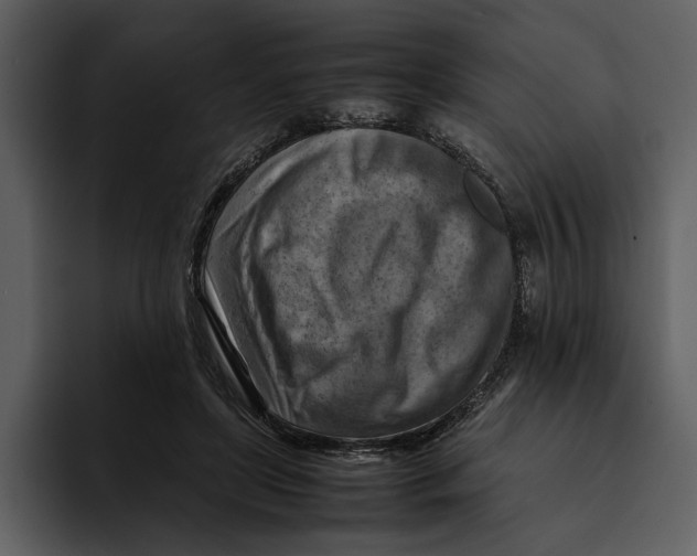 X0000095690451200801291220