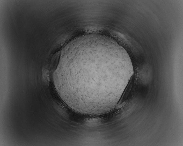 X0000095690452200801291220