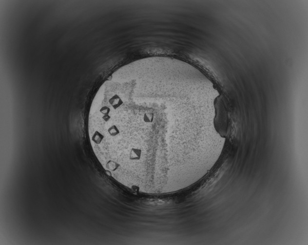 X0000095690453200801291220