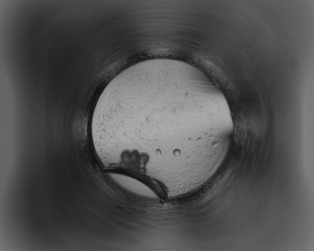 X0000095690454200801291220