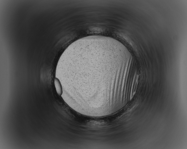 X0000095690455200801291220