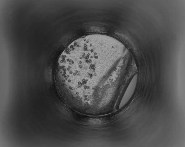 X0000095690457200801291220