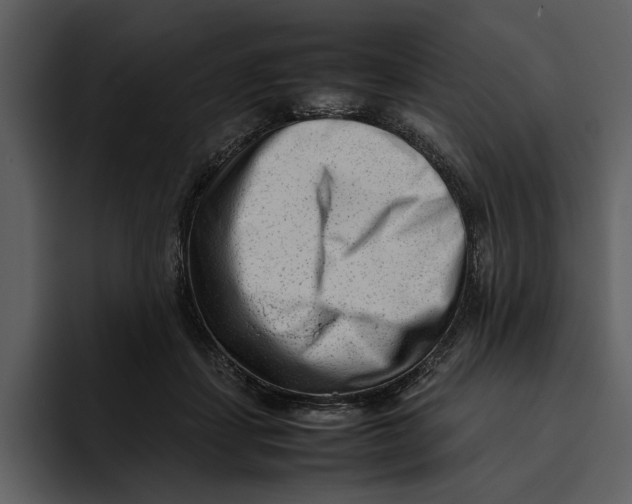 X0000095690459200801291220