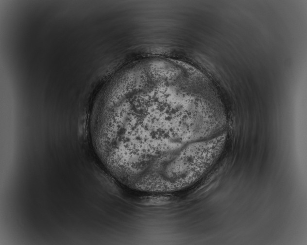 X0000095690462200801291220