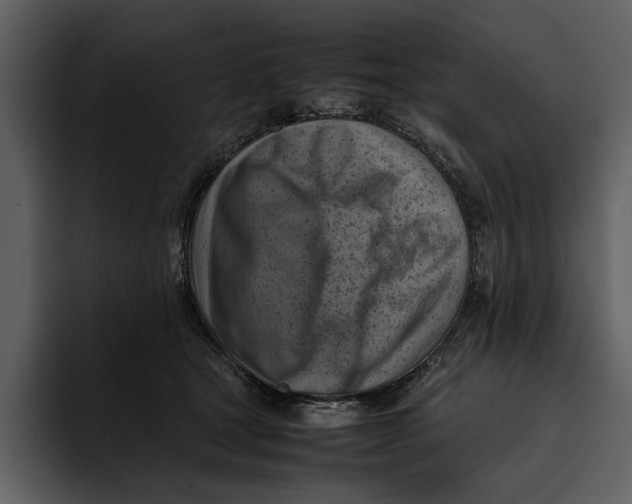 X0000095690465200801291220