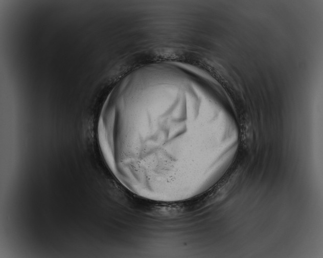 X0000095690466200801291220