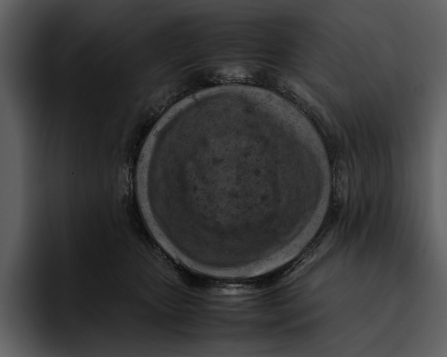 X0000095690467200801291220