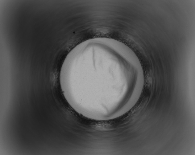 X0000095690468200801291220