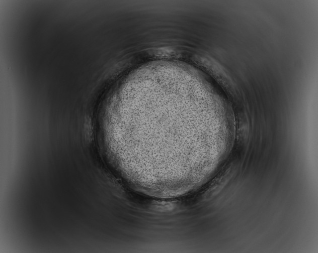 X0000095690469200801291221