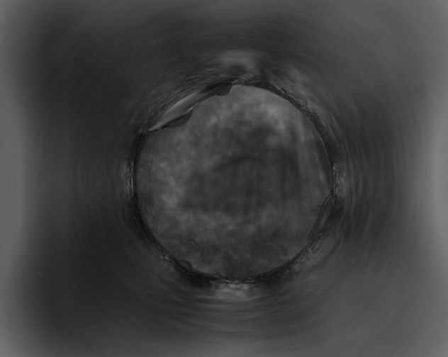 X0000095690471200801291221