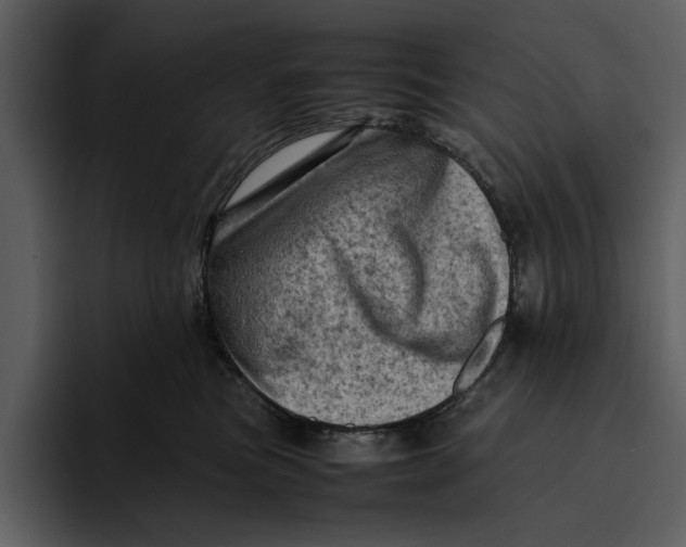 X0000095690473200801291221