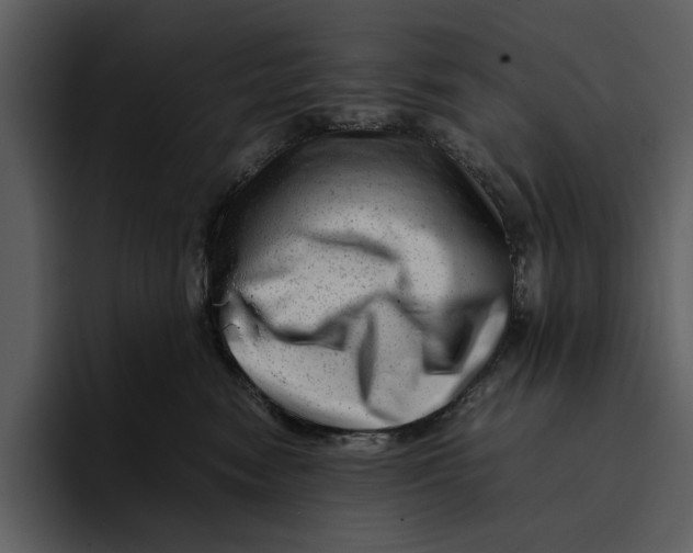 X0000095690474200801291221