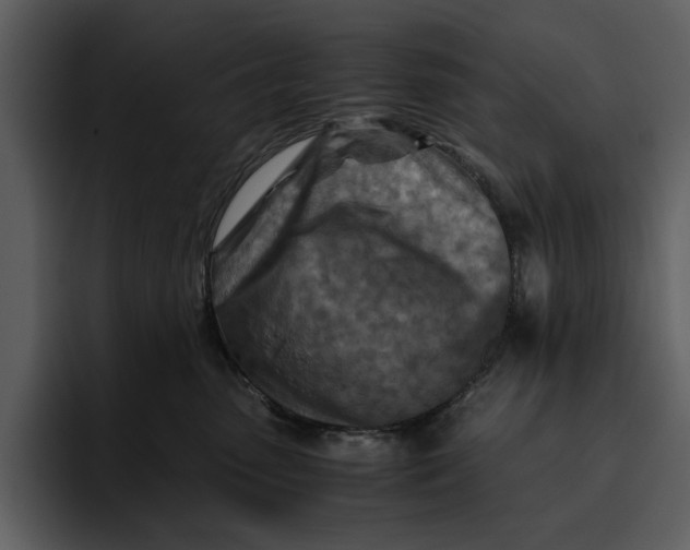 X0000095690475200801291221