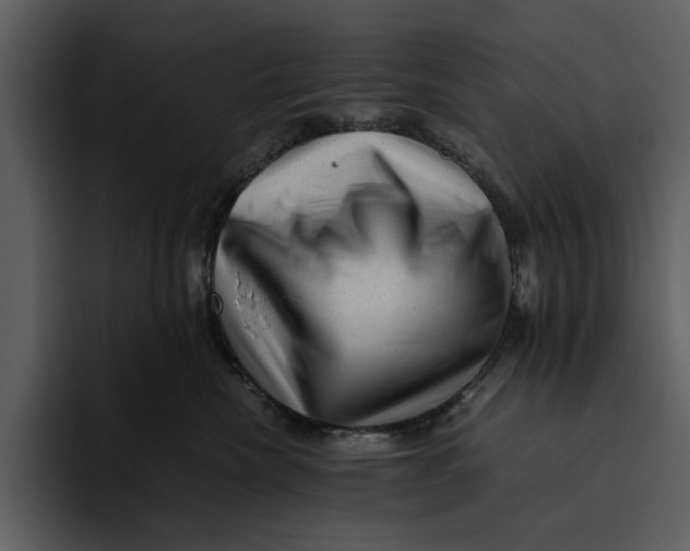 X0000095690476200801291221