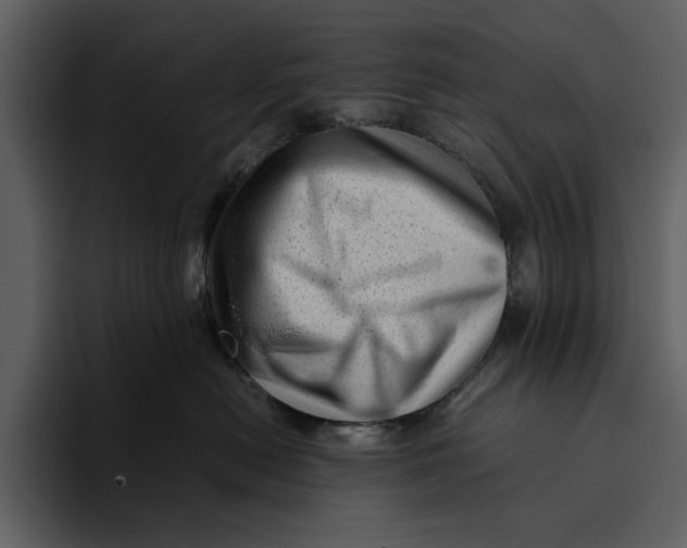 X0000095690478200801291221