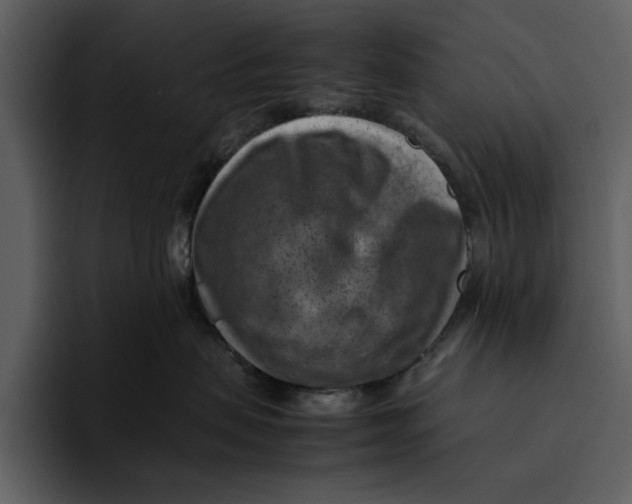 X0000095690479200801291221