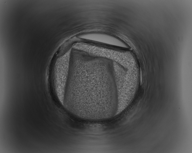 X0000095690483200801291220