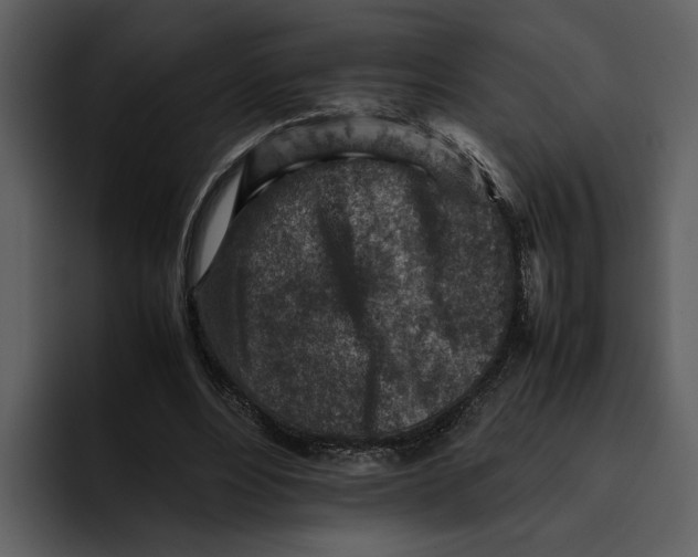 X0000095690488200801291220