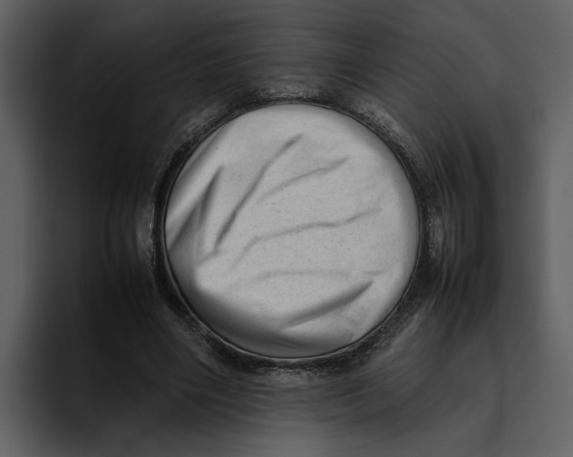 X0000095690490200801291220