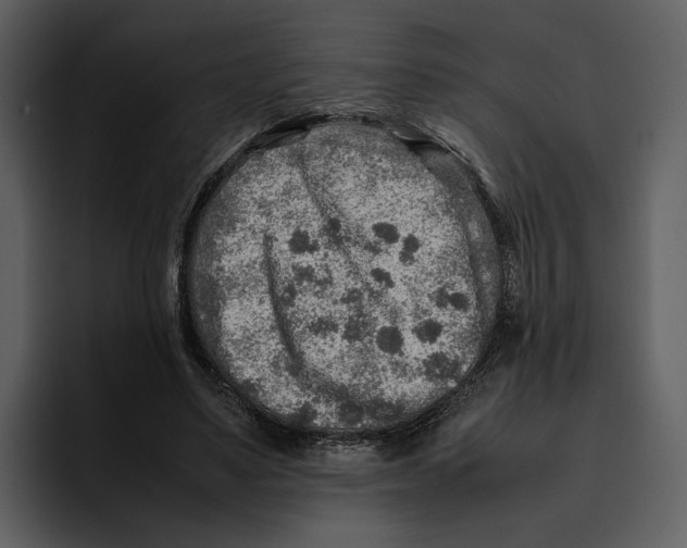 X0000095690491200801291220