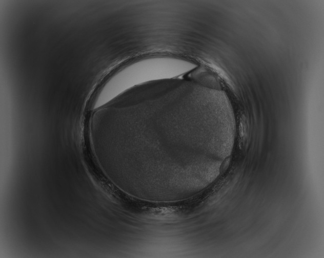 X0000095690492200801291220