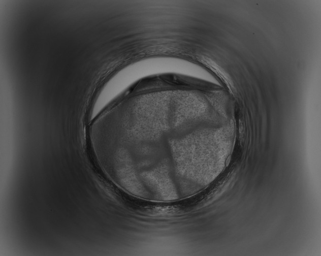 X0000095690493200801291220