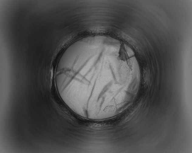 X0000095690494200801291220