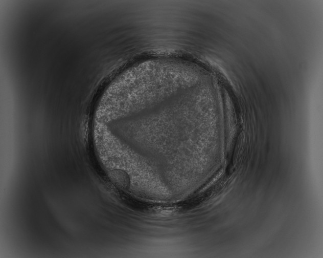 X0000095690495200801291220